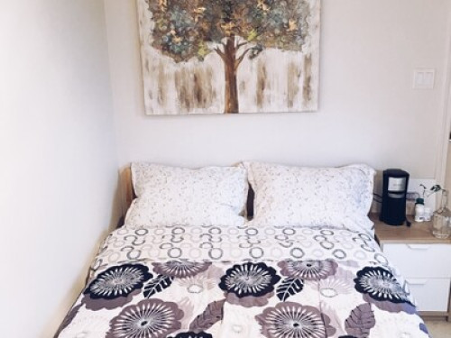Comfy Suite 