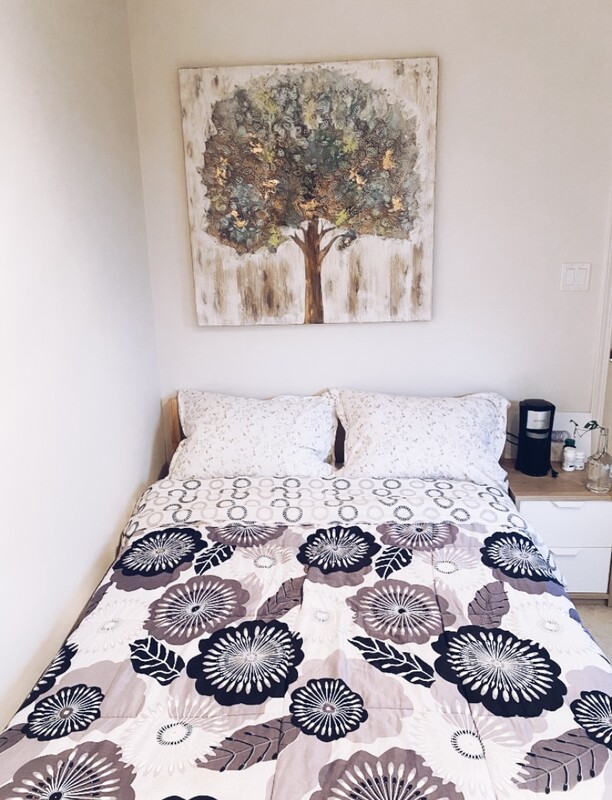  Semi Suite(Full Room)  -  Comfy Suite   - Gallery -  1