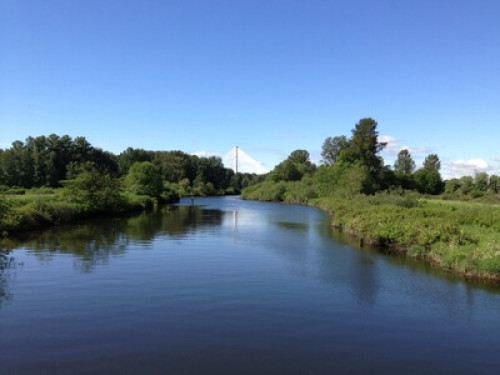 Friendly Homestay Rooms!!