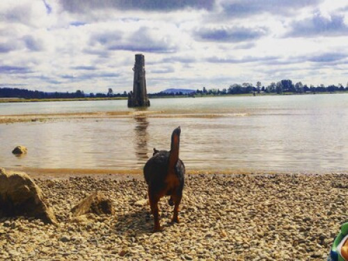 Friendly Homestay Rooms!!