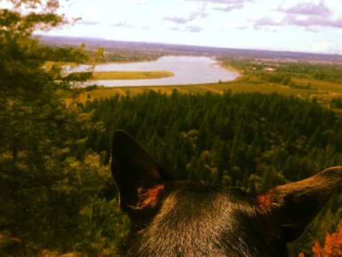 Friendly Homestay Rooms!!