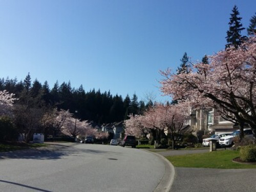 Spacious home amidst Forest Trails  - Gallery -  5