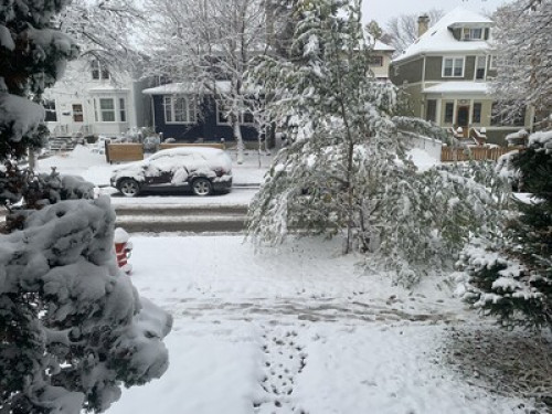 Homestay in Wolseley Winnipeg