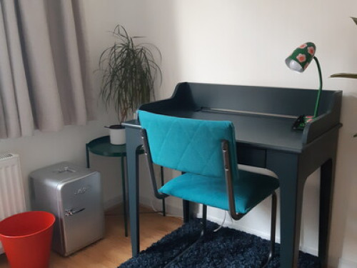 Spacious city room close to train 