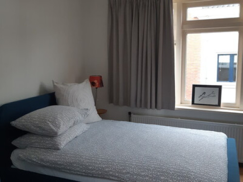 Spacious city room close to train  - Gallery - 9