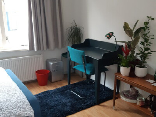 Spacious city room close to train 