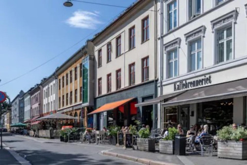 Elegant studio in Grünerløkka