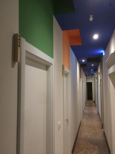 Cozy single bedroom in the city center, close to the Università di Bologna
