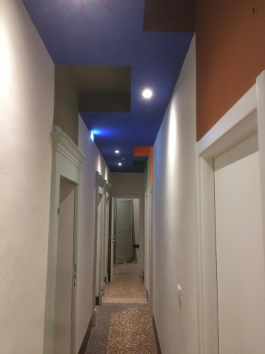 Cozy single bedroom in the city center, close to the Università di Bologna