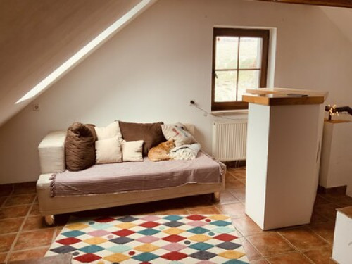 Room in beautiful part of Austria!  - Gallery -  5