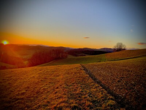 Room in beautiful part of Austria! - Gallery - 7