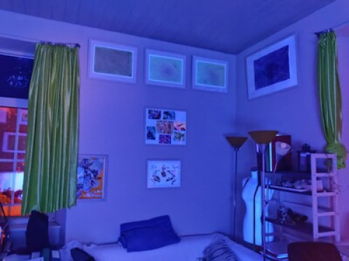 artist studio with garden