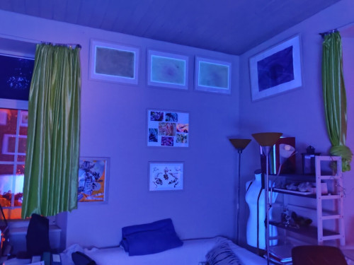 artist studio with garden - Gallery - 5