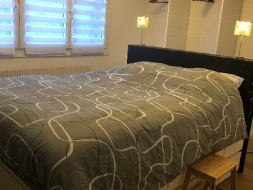 Pleasant room in house