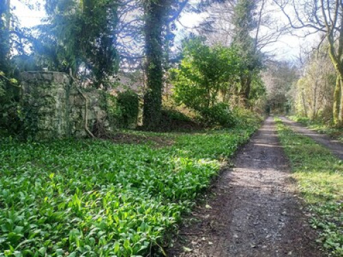 Fairy Garden -Sunny South East 