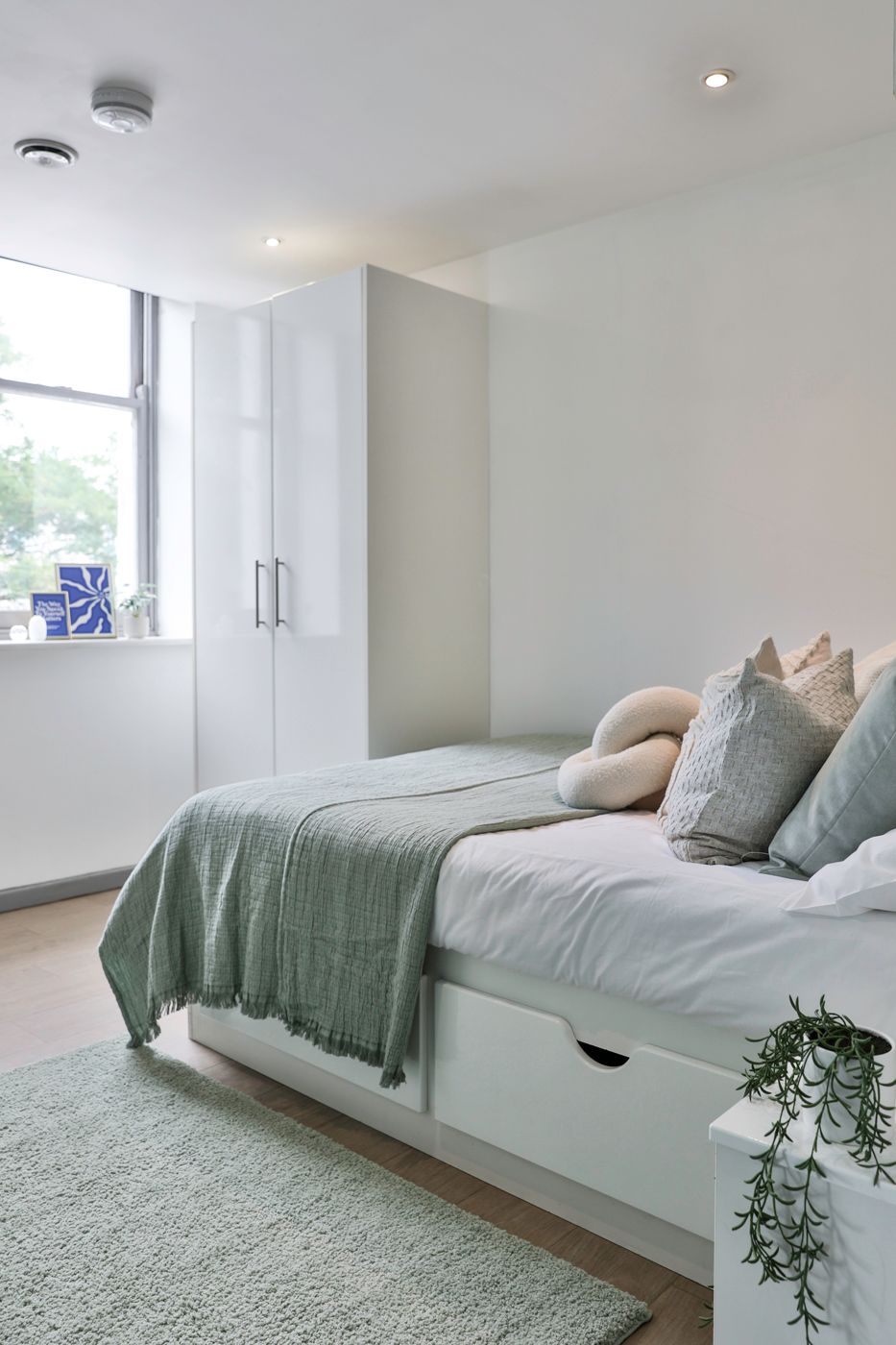 Picturehouse Apartments