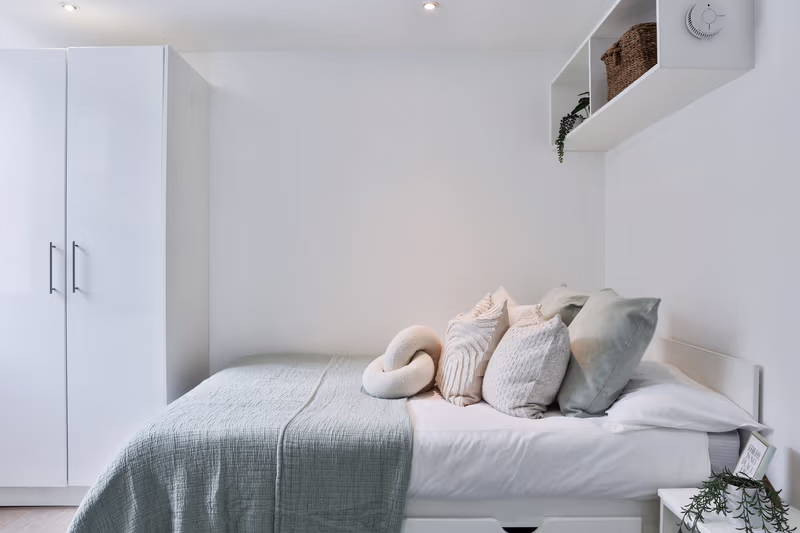  Classic Smaller Studio  -  Picturehouse Apartments  - Gallery -  1