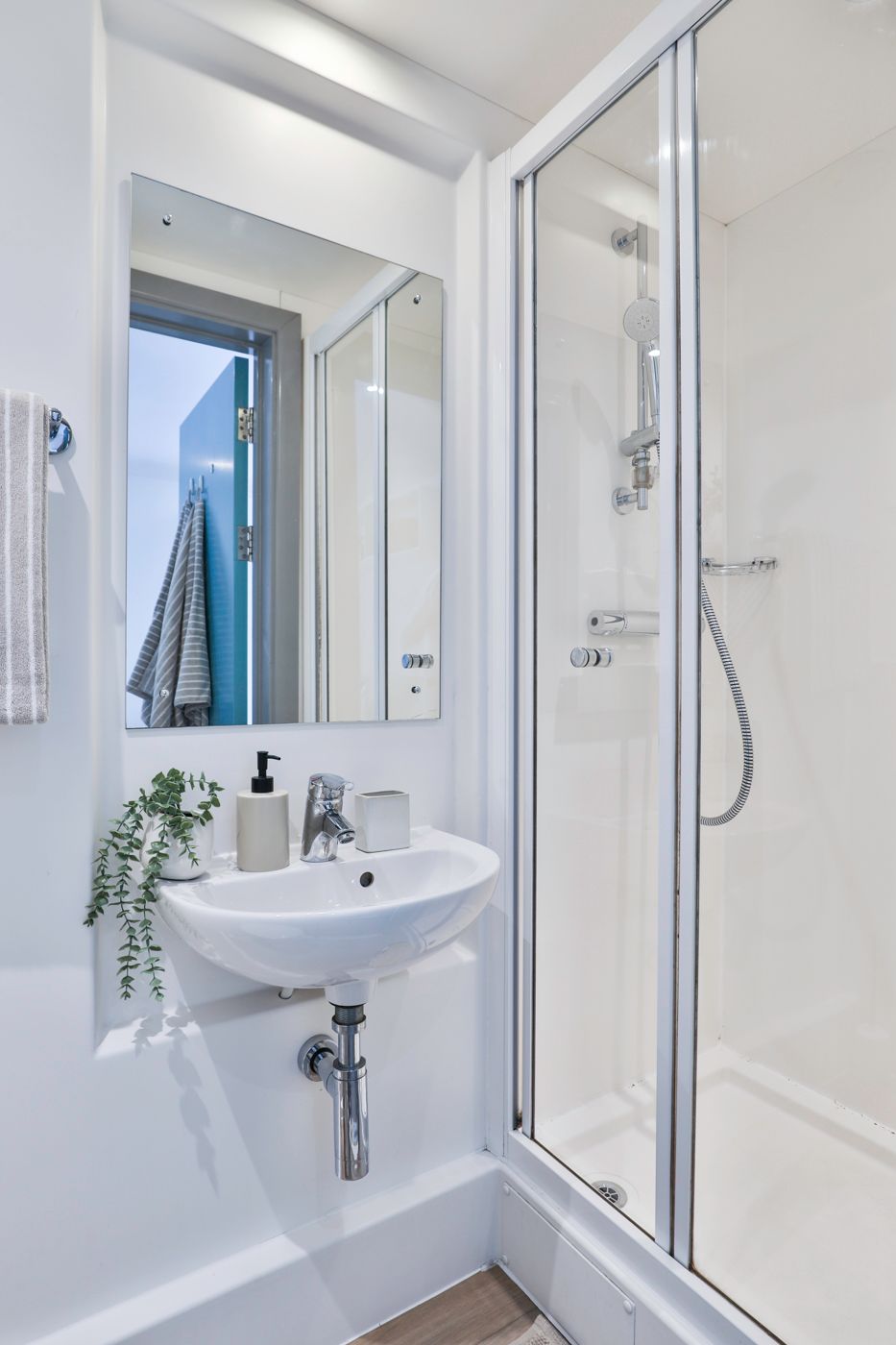  Classic Shared Apartment  -  Picturehouse Apartments  - Gallery -  4