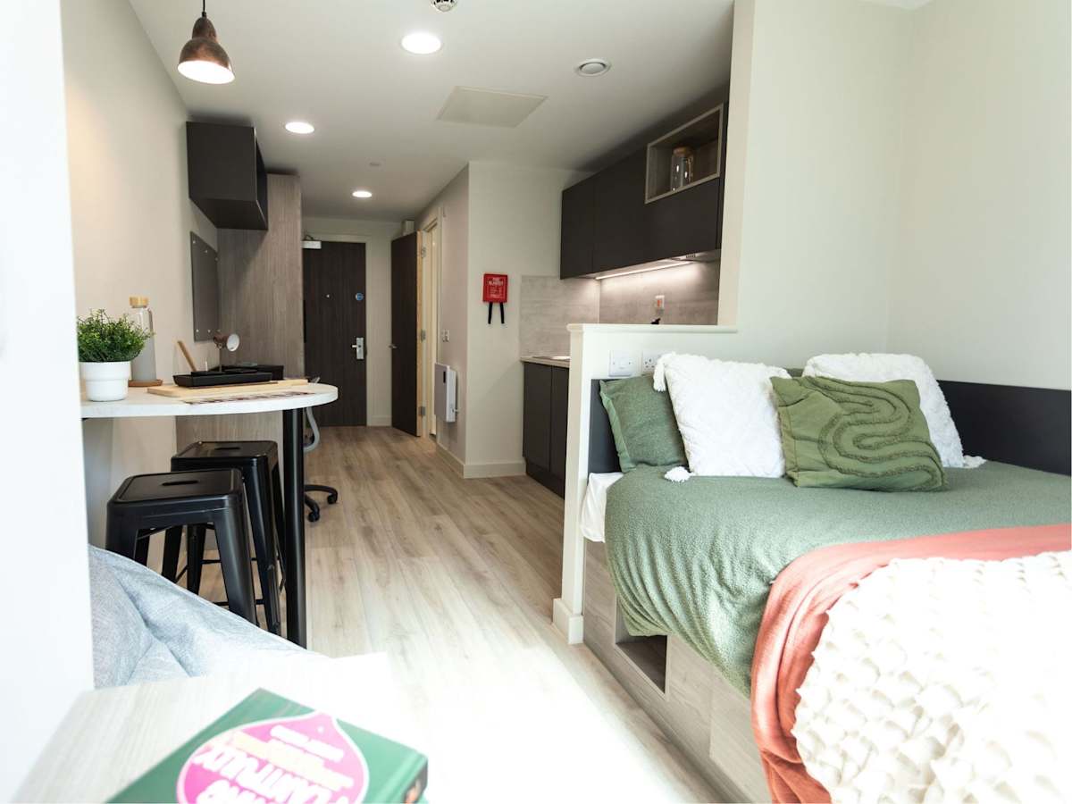  Penthouse Deluxe Studio  -  Stanley Studios  - Gallery -  1