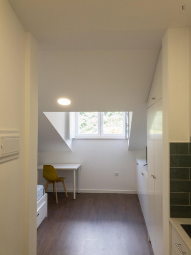 Neat studio in Montes Claros