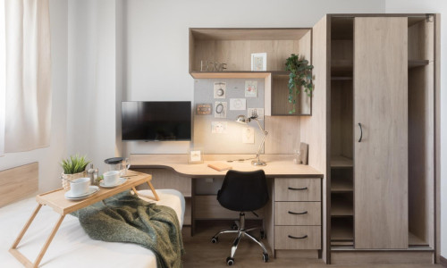 Attractive single bedroom in Camino de Ronda