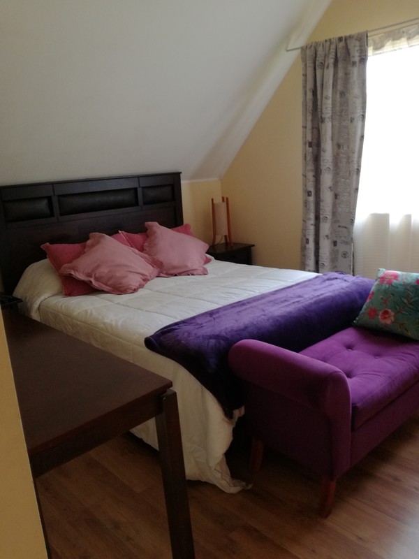 Room(Single Bed) - 1