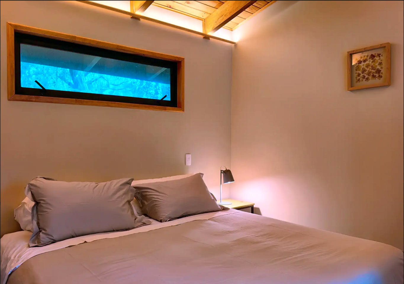  House Between Treetops (jacuzzi) W/ King Bed Or Two Singles  -  Nature Coliving Lodge located in the middle of the Valdivian Rainforest, just 20 minutes from downtown Valdivia  - Gallery -  7