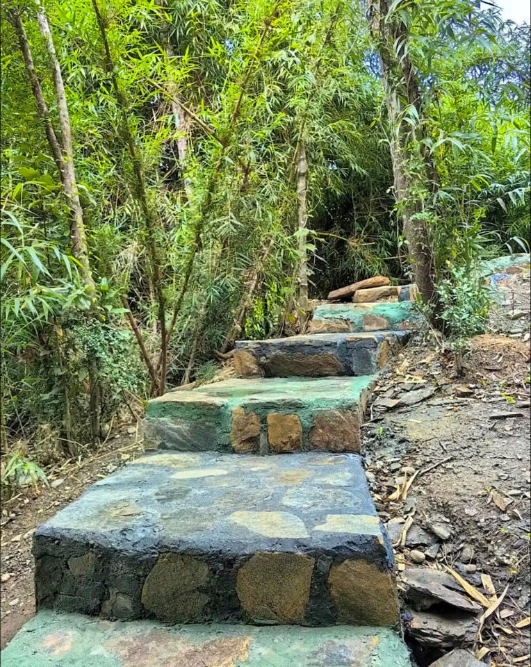  Private  -  Nature Coliving Lodge located in the middle of the Valdivian Rainforest, just 20 minutes from downtown Valdivia  - Gallery -  5