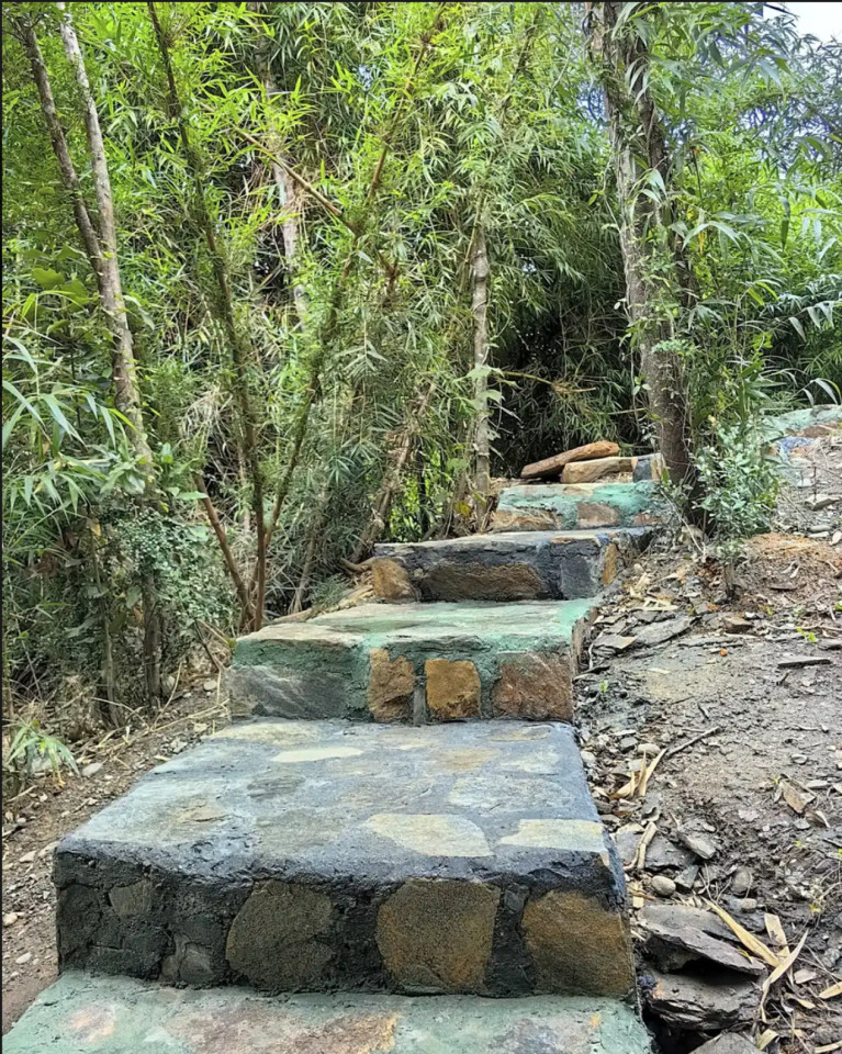  Private  -  Nature Coliving Lodge located in the middle of the Valdivian Rainforest, just 20 minutes from downtown Valdivia  - Gallery -  31