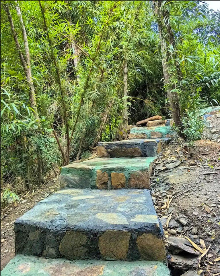  Private  -  Nature Coliving Lodge located in the middle of the Valdivian Rainforest, just 20 minutes from downtown Valdivia  - Gallery -  15