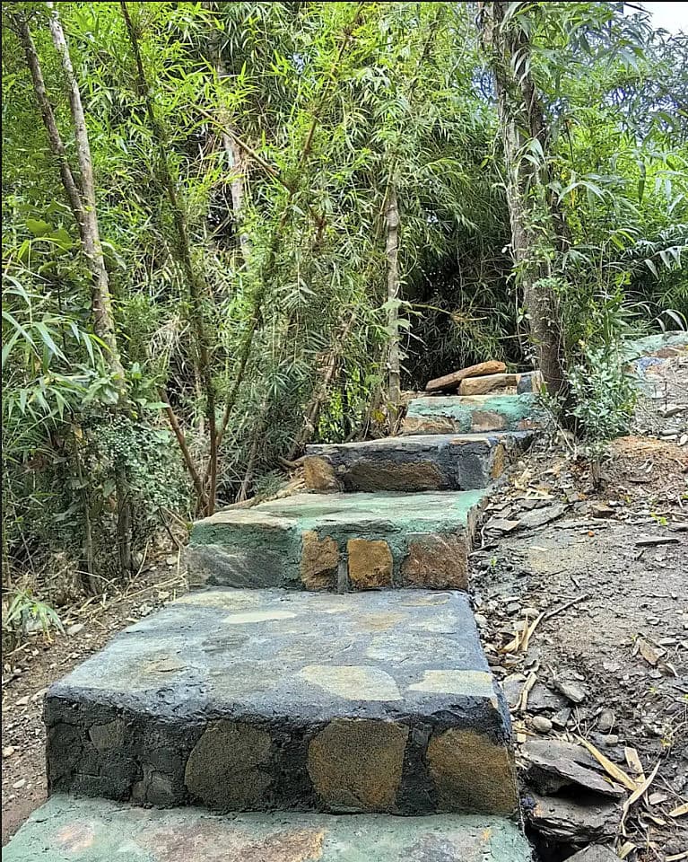  Private  -  Nature Coliving Lodge located in the middle of the Valdivian Rainforest, just 20 minutes from downtown Valdivia  - Gallery -  63