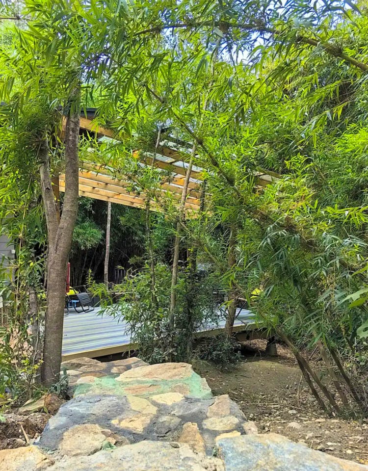  Private  -  Nature Coliving Lodge located in the middle of the Valdivian Rainforest, just 20 minutes from downtown Valdivia  - Gallery -  2