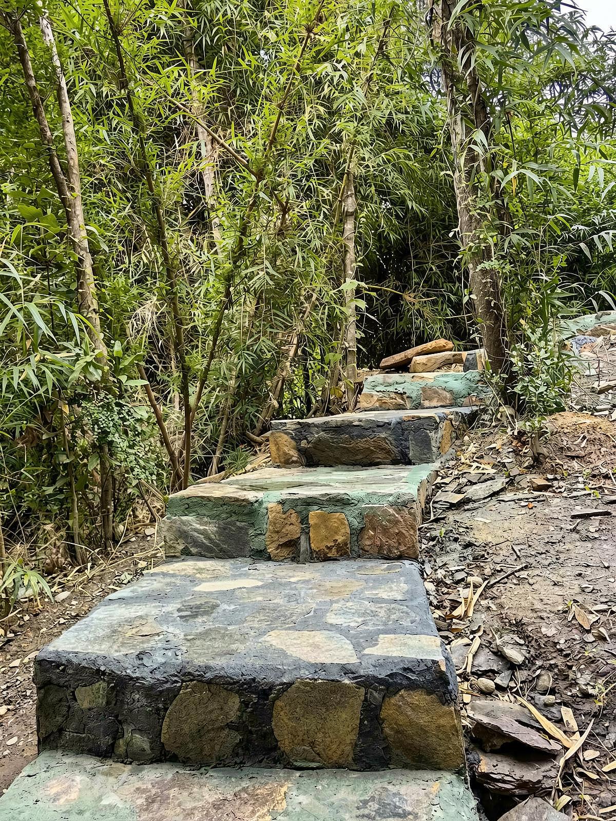  Private  -  Nature Coliving Lodge located in the middle of the Valdivian Rainforest, just 20 minutes from downtown Valdivia  - Gallery -  69