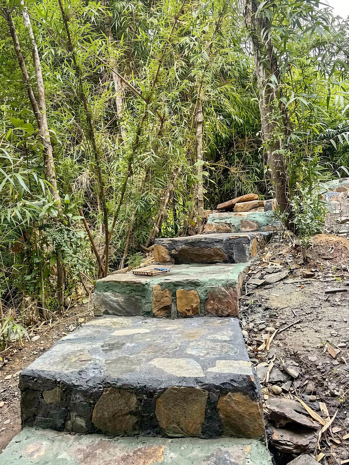  Private  -  Nature Coliving Lodge located in the middle of the Valdivian Rainforest, just 20 minutes from downtown Valdivia  - Gallery -  79