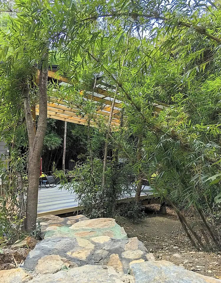  Private  -  Nature Coliving Lodge located in the middle of the Valdivian Rainforest, just 20 minutes from downtown Valdivia  - Gallery -  34