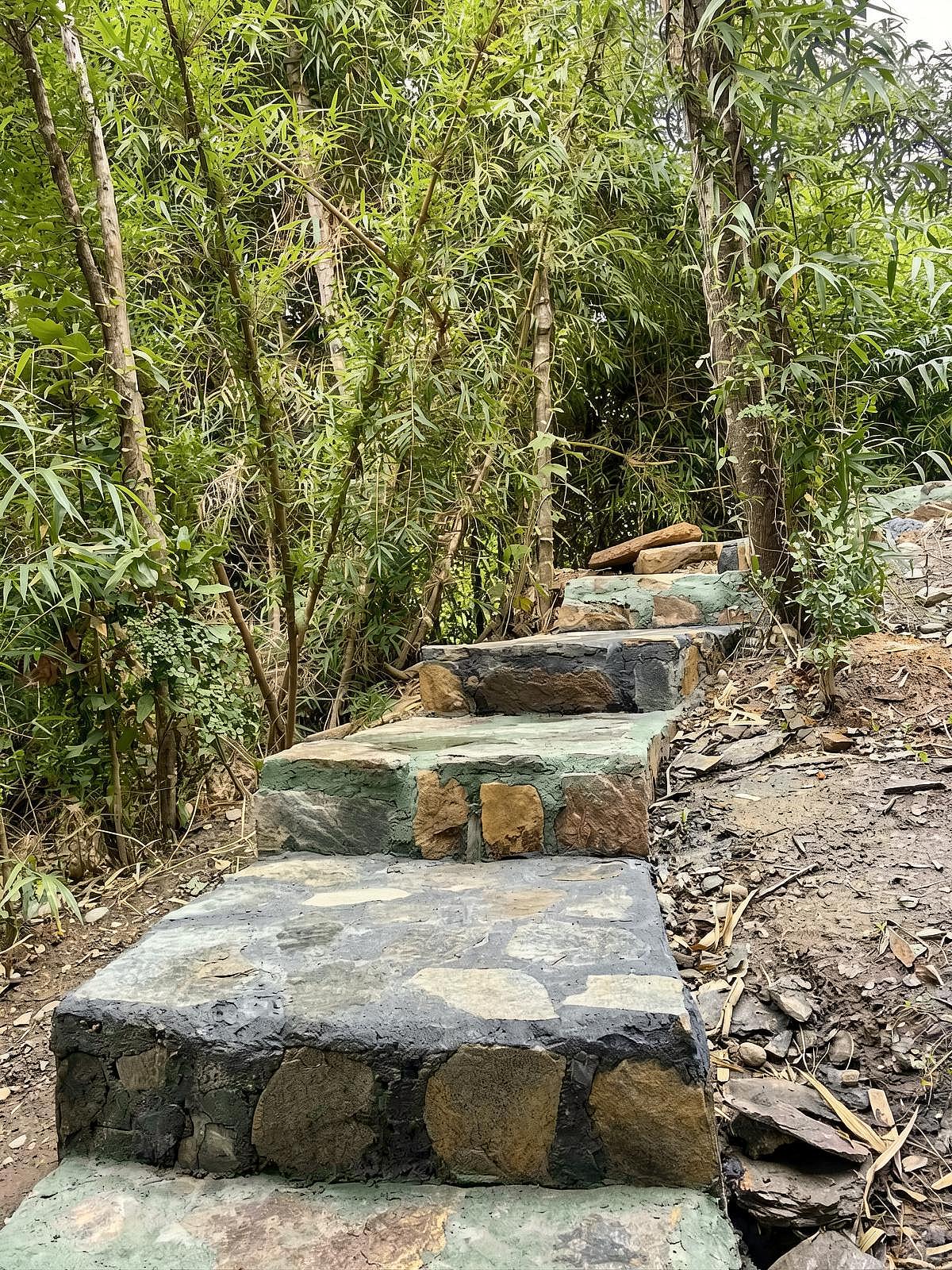  Bambu House W/queen Bed  -  Nature Coliving Lodge located in the middle of the Valdivian Rainforest, just 20 minutes from downtown Valdivia  - Gallery -  57