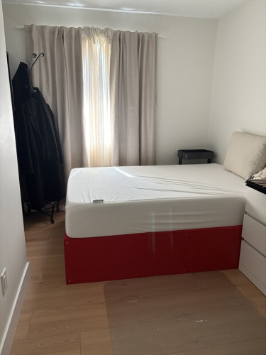 room rent for FEMALE student
