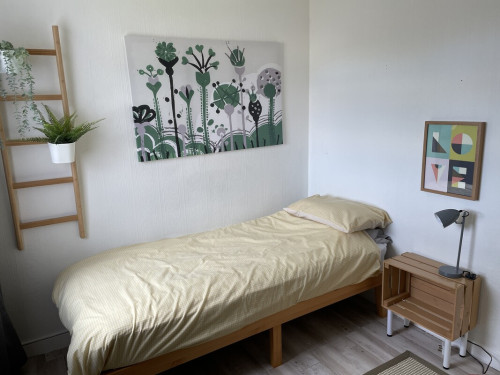Scottish Homestay