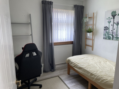 Scottish Homestay