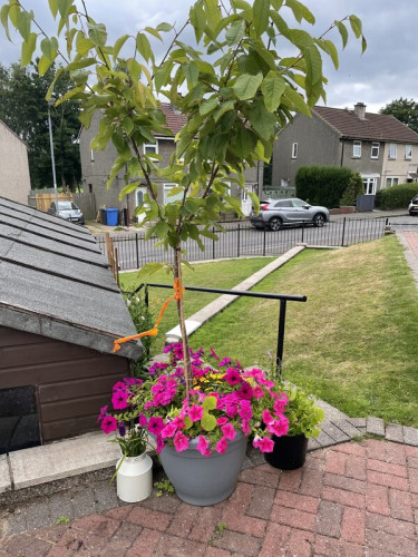 Scottish Homestay