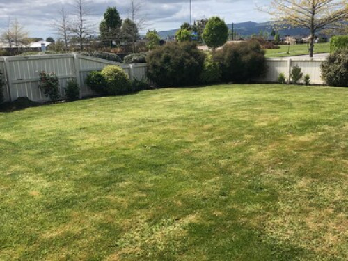 A sunny large house fully furnished