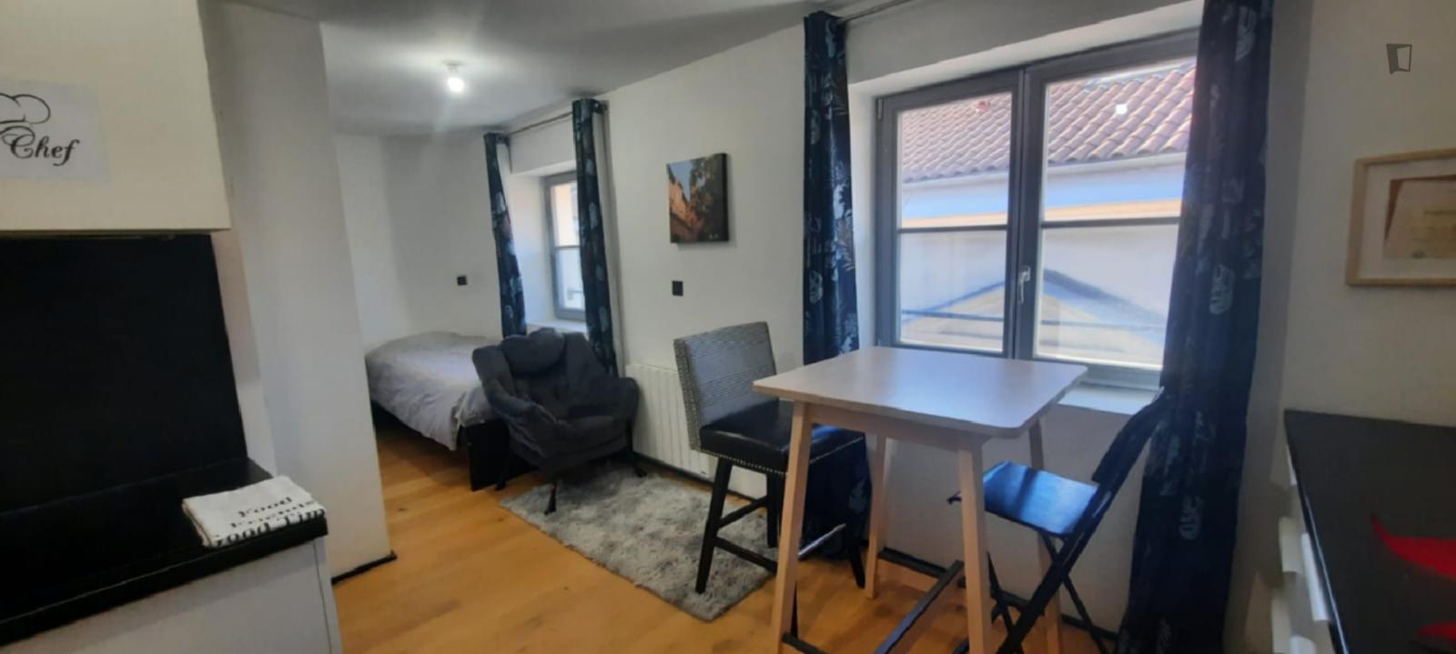 Bright Cozy Studio Prime Location By Hôtel De Ville - 1