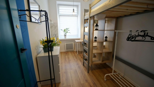 Pleasant single bedroom in shared flat near the Lodz University of Technology