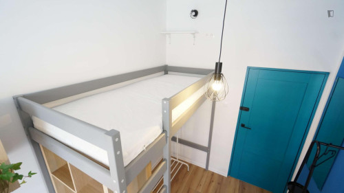 Pleasant single bedroom in shared flat near the Lodz University of Technology