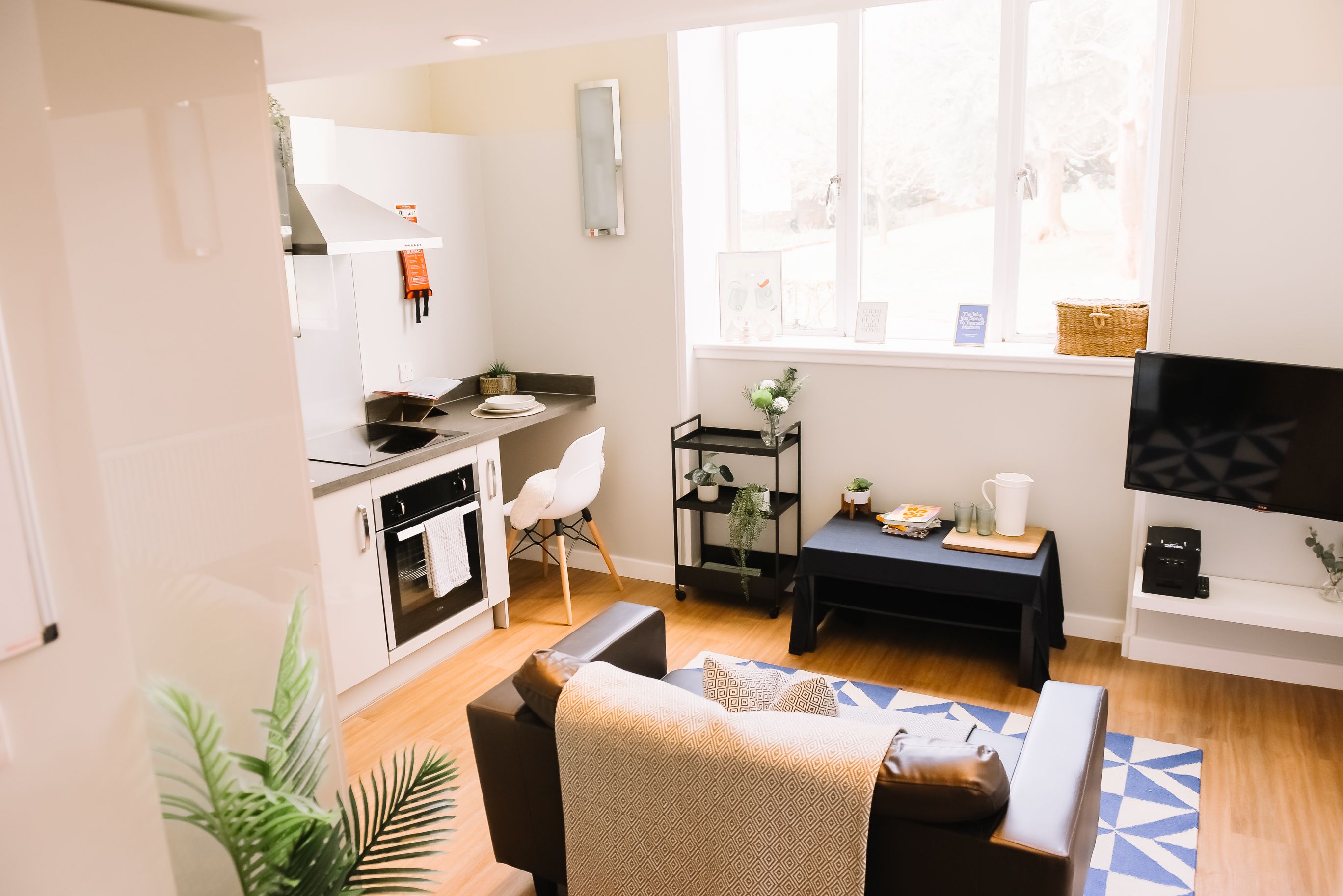  Classic 1-Bed Apartment  -  Library Lofts  - Gallery -  4