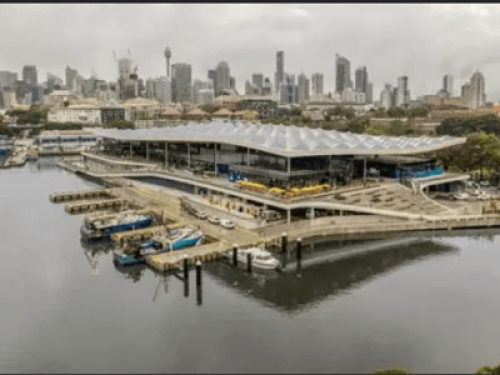 walk to Syd Uni, UTS, CBD, anywhere