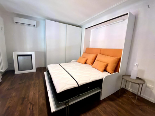 Welcoming studio in the heart of Bologna