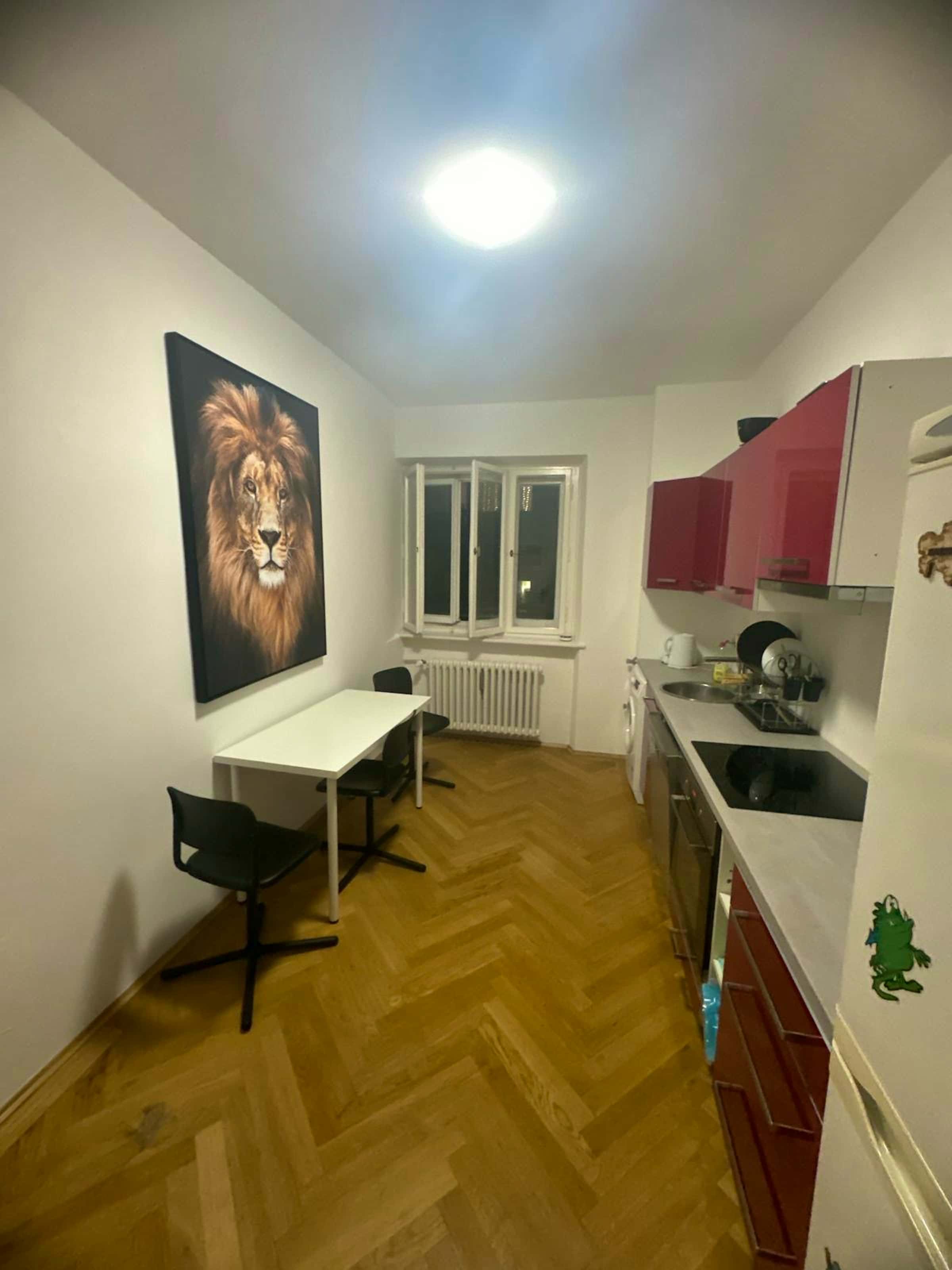  Schleißheimer Straße  -  Schleißheimer Straße  - Gallery -  2