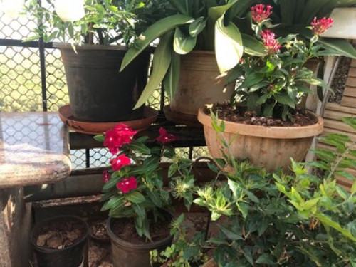 Pashy's abode - Gallery - 7