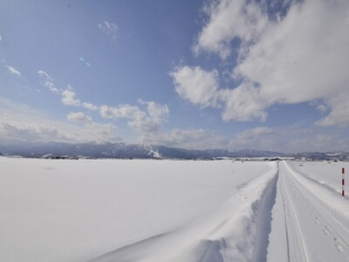STAR House Homestay in Sapporo